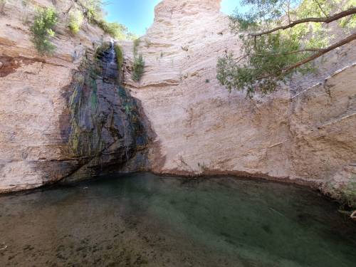 A serene natural scene featuring a small waterfall cascading into a clear pool surrounded by rocky cliffs and greenery.