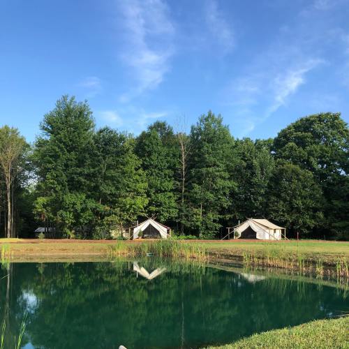 A serene landscape featuring a pond surrounded by trees and two tents in a grassy area. Clear blue sky above.
