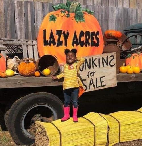 A child in pink boots stands by a large pumpkin display with a sign reading "Pumpkins for Sale" at Lazy Acres.