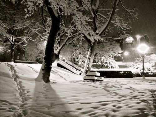 A snowy park at night, with trees, benches, and soft lighting creating a serene winter scene.