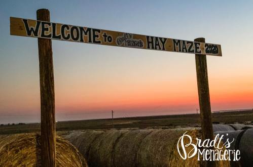 Sign reading "Welcome to Bradi's Menagerie Hay Maze 2020" with hay bales and a sunset in the background.