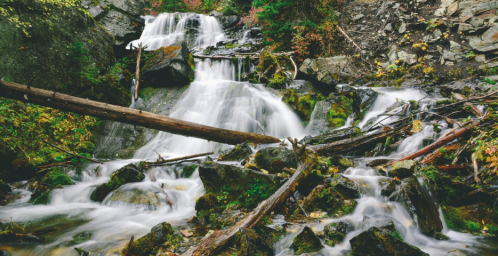 A serene waterfall cascades over rocks, surrounded by lush greenery and fallen logs in a tranquil forest setting.