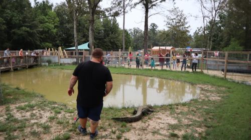 A man walks near a pond in a wildlife park, with a crowd observing from a fenced area in the background.