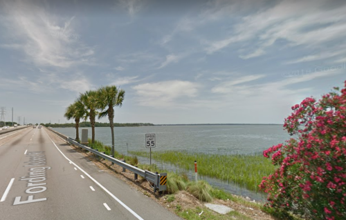 A scenic view of a road alongside a body of water, with palm trees and pink flowers in the foreground.