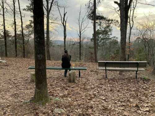 A person sits on a bench in a wooded area, surrounded by trees and fallen leaves, with a scenic view in the background.