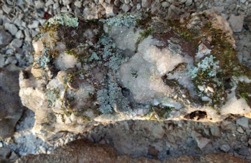 A textured rock covered in moss and lichen, with crystalline formations visible on its surface.