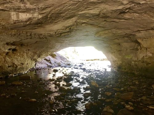 A view from inside a cave, showing a rocky stream and bright light at the entrance.