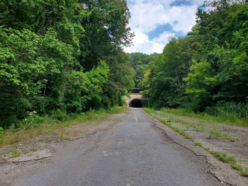 A deserted road leads to a tunnel, surrounded by lush greenery and trees under a partly cloudy sky.