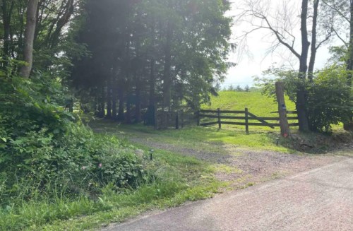 A gravel path leads to a wooden fence, surrounded by lush greenery and trees under a bright sky.