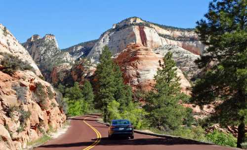 A car drives along a winding road surrounded by red rock formations and green trees in a scenic landscape.