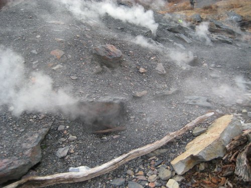 Steam rises from rocky terrain, with scattered stones and a wooden log in the foreground, suggesting geothermal activity.
