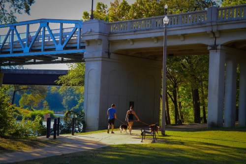 A man and woman walk dogs under a bridge in a park, with trees and a river in the background.