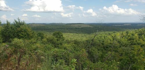 A panoramic view of lush green hills and trees under a partly cloudy sky.