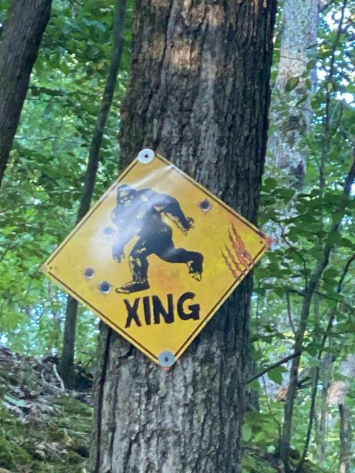 A yellow warning sign on a tree depicting a Bigfoot figure with the text "XING" in bold letters.