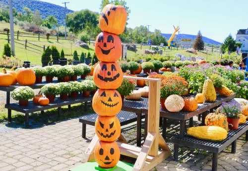 A stack of five painted pumpkins with smiling faces, surrounded by various pumpkins and colorful flowers in a farm setting.