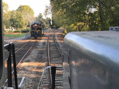 A view from a train showing another train on a parallel track surrounded by trees and autumn foliage.