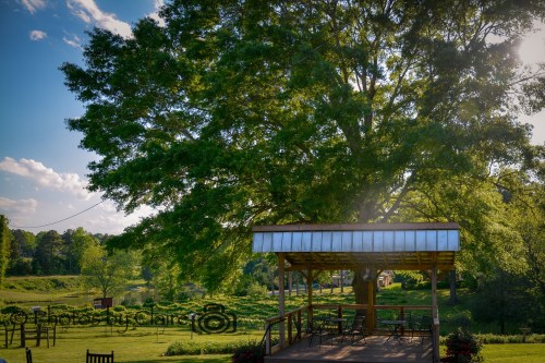 A wooden pavilion under a large tree, surrounded by green fields and a clear blue sky.