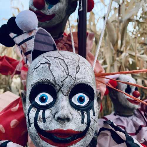 A close-up of eerie clown puppets with exaggerated features, set against a backdrop of corn stalks.