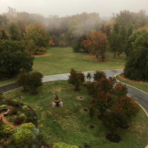 A misty landscape with colorful autumn trees, a winding path, and a sculpture in a garden setting.
