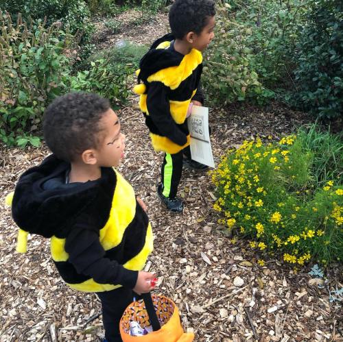 Two children in bee costumes explore a garden, one holding a basket and the other looking at flowers.