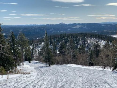 Snow-covered landscape with a winding path, pine trees, and distant mountains under a clear blue sky.