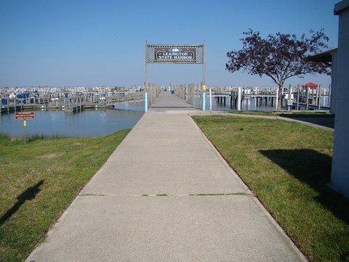 A paved walkway leads to a marina with docks and boats under a clear blue sky at Lexington State Harbor.