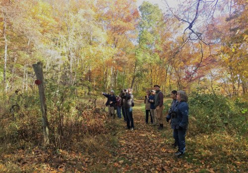 A group of photographers stands on a leaf-covered path in a colorful autumn forest, capturing the scenery.