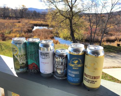 A row of craft beer cans on a railing, with a scenic view of a pond and autumn foliage in the background.