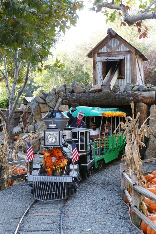 A miniature train decorated with pumpkins and flags travels through a rustic tunnel, with passengers enjoying the ride.