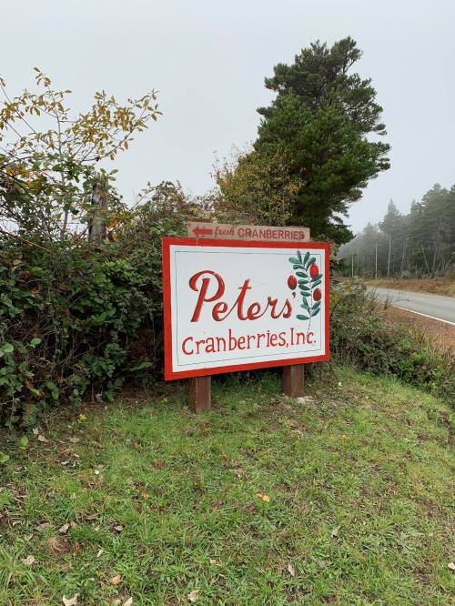 Sign for Peters Cranberries, Inc. surrounded by greenery, located near a foggy roadside.