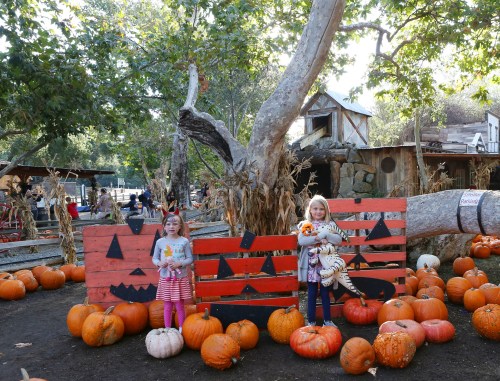 Two children stand in front of a pumpkin display, smiling with a backdrop of painted wooden boards and pumpkins around them.