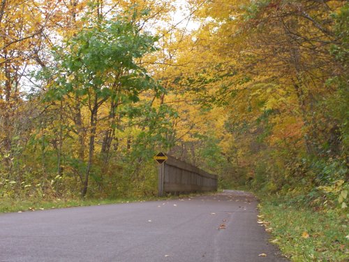 A winding road surrounded by trees with vibrant autumn leaves and a caution sign ahead.