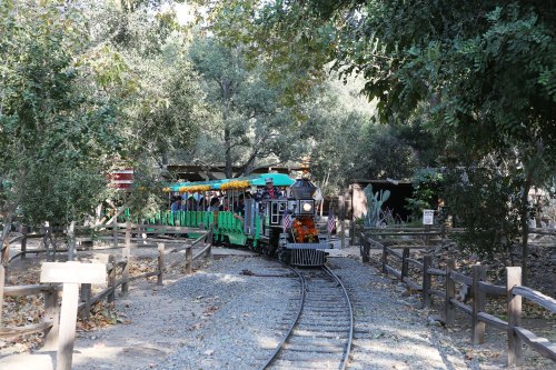 A small train with colorful cars travels along a track through a wooded area, surrounded by trees and rustic buildings.
