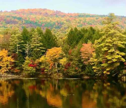 A serene lake surrounded by vibrant autumn foliage and colorful trees reflecting on the water's surface.