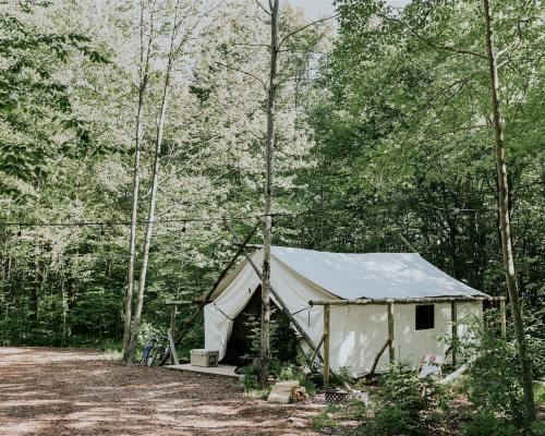 A white canvas tent set in a lush green forest, surrounded by trees and a gravel path.