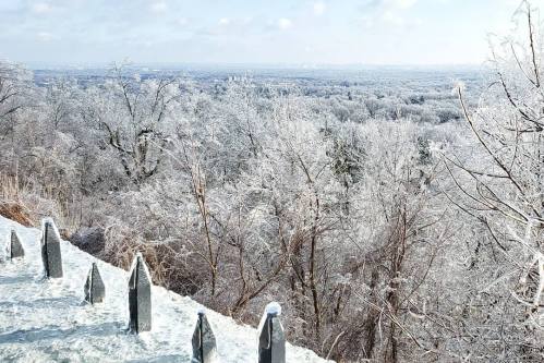 A snowy landscape with frosted trees and a clear sky, viewed from a hilltop with a railing in the foreground.