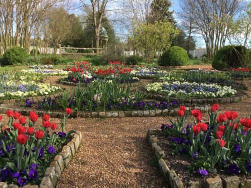 A vibrant garden with red tulips and colorful flowers arranged in circular beds along a gravel path.