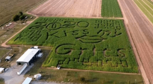 Aerial view of a corn maze featuring the text "2020 Kiss my Grills" surrounded by green fields.