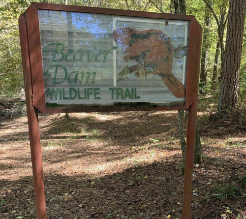 Sign for Beaver Dam Wildlife Trail, featuring a painted beaver, surrounded by trees and natural scenery.