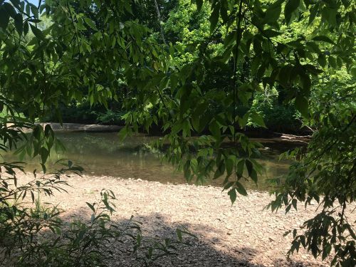 A serene river scene framed by lush green leaves, with a rocky shore and calm water reflecting the surrounding trees.