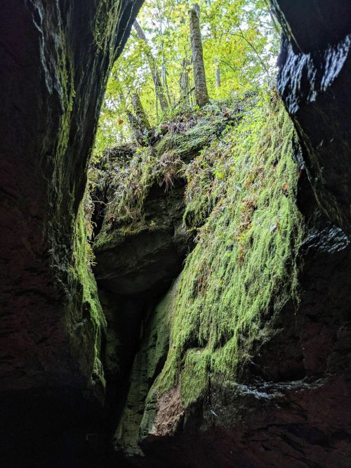 A view from inside a cave, showing green moss and trees above, with sunlight filtering through the opening.