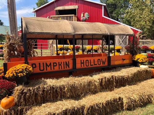 A colorful pumpkin display with a sign reading "Pumpkin Hollow," surrounded by hay bales and autumn flowers.