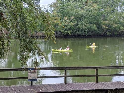 Two people in yellow kayaks paddle on a calm river, surrounded by lush green trees and a wooden dock nearby.
