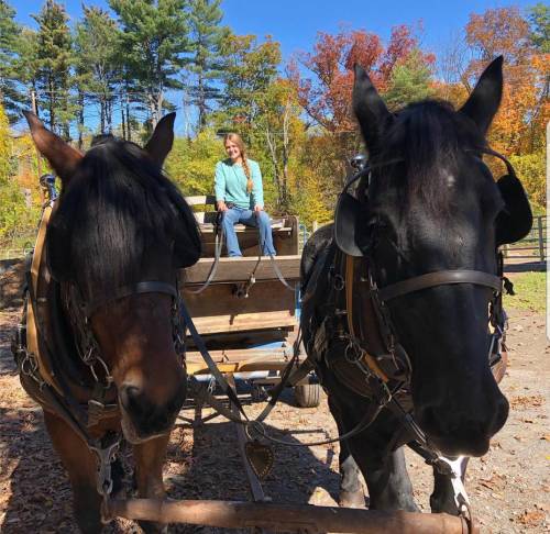 A person sits on a wagon pulled by two horses in a colorful autumn landscape.