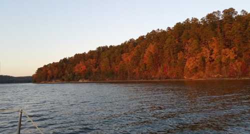 A serene lake scene with vibrant autumn foliage on the shore, reflecting warm colors in the water at sunset.