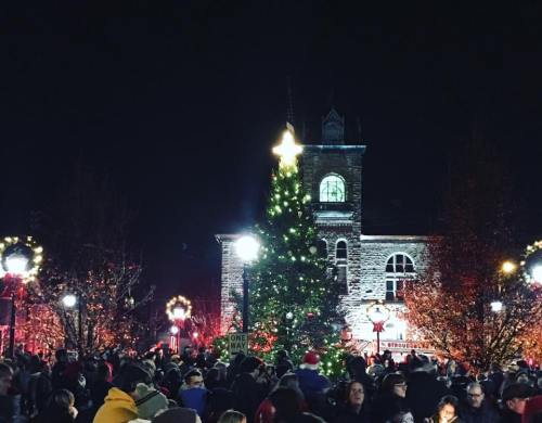 A festive crowd gathers around a decorated Christmas tree in front of a historic building, illuminated at night.