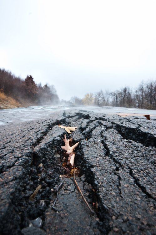 Cracked asphalt road with a fallen leaf, surrounded by misty trees under a gray sky.