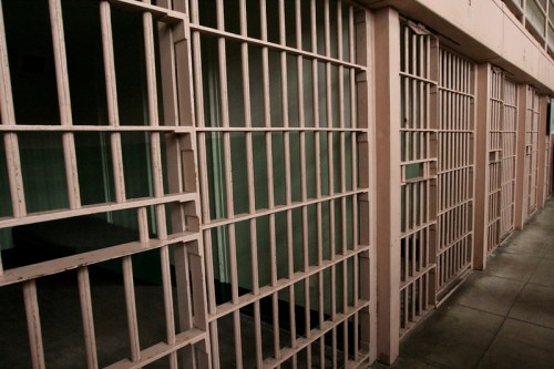 A row of empty prison cells with metal bars and a concrete floor, creating a stark and somber atmosphere.