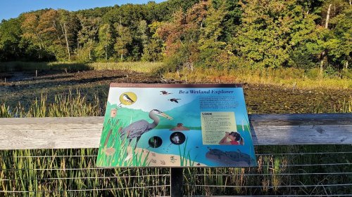 A wooden sign titled "Be a Wetland Explorer" near a wetland, with illustrations of birds and a scenic background.