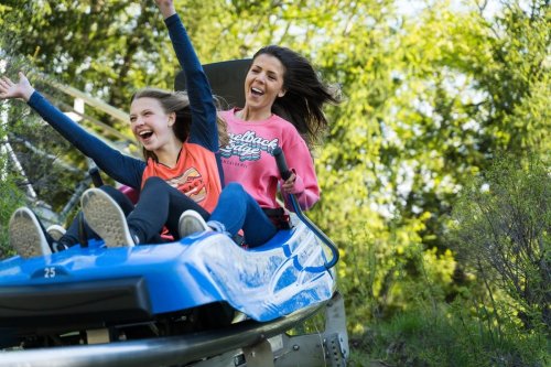 Two excited girls ride a blue roller coaster, arms raised in joy, surrounded by greenery.